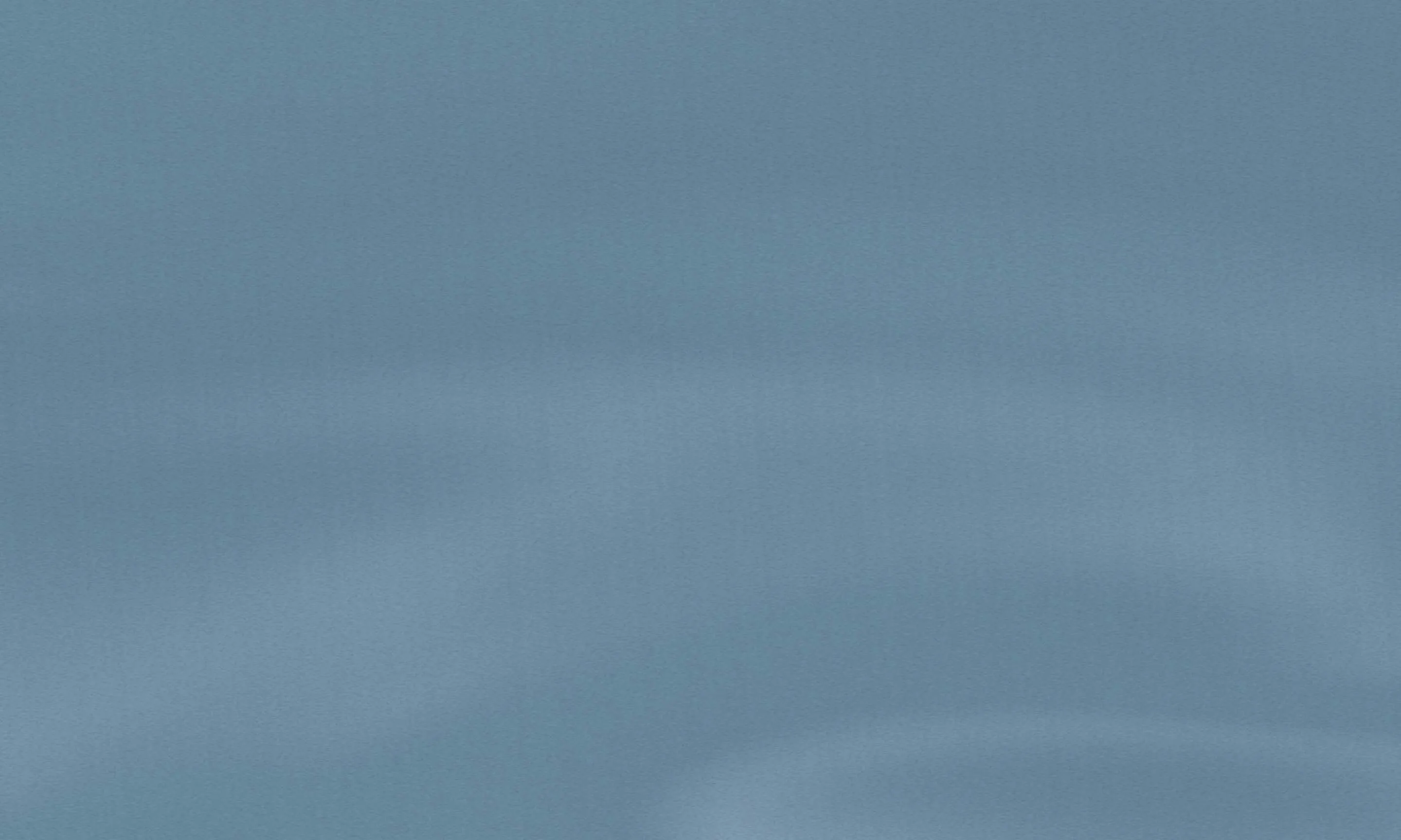 Soft blue textured background.